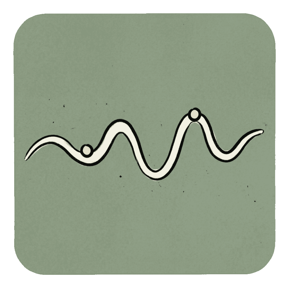 Illustration of a spectrum with two positions — representing continuous measurement, not categorical labels